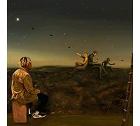 From A Birds Eye View Vinyle Coloré