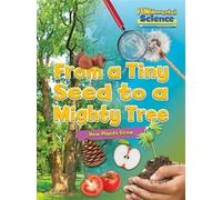 From A Tiny Seed To A Mighty Tree