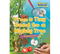 From a Tiny Seed to a Mighty Tree: How Plants Grow