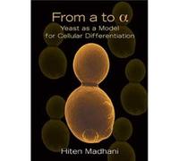 From a to Alpha by Hiten Madhani Hiten Madhani (Auteur)
