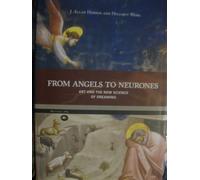 From angels to neurons