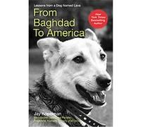 From Baghdad to America Jay Kopelman (Auteur)