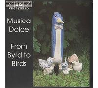 from Byrd to Birds