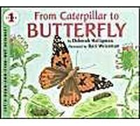 From Caterpillar To Butterfly