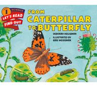 From Caterpillar To Butterfly