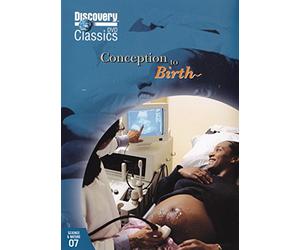 From Conception to Birth