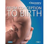 From Conception to Birth (Discovery - From Conception to Birth (Discovery [Blu-ray]