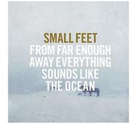 From Far Enough Away Everything Sounds Like