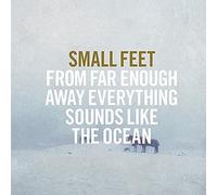 From Far Enough Away Everything Sounds Like the Océan