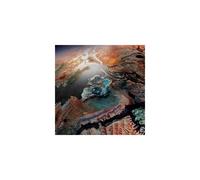 From Gas To Solid You Are My Friend Edition Deluxe Inclus Vinyle Single