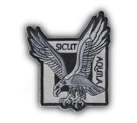 FROM HAWAII WITH LOVE - D646 - Ecusson Patch Brodé Thermocollant - Dim: 9 cm x 7,5 cm - sicut aquila parachutiste armée militaire air mer terre commandos