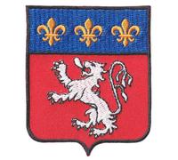 FROM HAWAII WITH LOVE - Ecusson Patch Brodé Thermocollant - F007 - Département Région Territoire France - 6,5 cm x 8 cm - Ville De Lyon