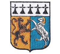 FROM HAWAII WITH LOVE - Ecusson Patch Brodé Thermocollant - F129 - Département Région Territoire France - 6,5 cm x 8 cm - 29 Finistère