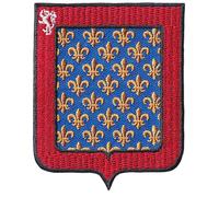 FROM HAWAII WITH LOVE - Ecusson Patch Brodé Thermocollant - F172 - Département Région Territoire France - 6,5 cm x 8 cm - 72 Sarthe