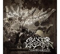 From Hell & Back [Import allemand]