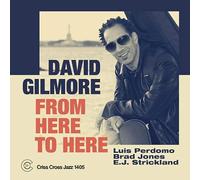 From Here to Here / David Gilmore