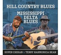 From Hill Country to Mississippi Delta Blues