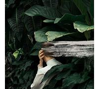 From Indian Lakes - Everything Feels Better Now [CASSETTE] [Musikkassette]