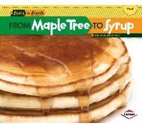 From Maple Tree To Syrup