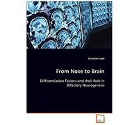 From Nose To Brain: Differentiation Factors And Their Role In Olfactory Neurogenesis