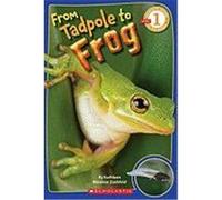 From Tadpole to Frog Zoehfeld, Kathleen Weidner (Auteur)