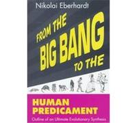 From the Big Bang to the Human Predicament Nikolai Eberhardt (Auteur)