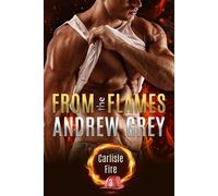 From the Flames - Andrew Grey - Dreamspinner Press - ebook (ePub) - Livre