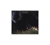Stanko, Tomasz - From The Green Hill