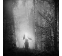 From the Infinite Light