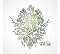Indubious - from Zero
