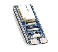 FROMCEO Carte de développement d ' accès GPIO P4 RISC-V avec Ports de Type C pour Le Travail d ' Affichage de caméra, la Construction de projets et Le prototypage