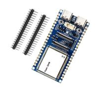 FROMCEO Carte de développement d ' accès GPIO P4 RISC-V avec Ports de Type C pour Le Travail d ' Affichage de caméra, la Construction de projets et Le prototypage
