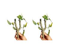 FROMCEO Lot de 2 vignes grimpantes pour amphibiens et habitats favorisant l'exercice des reptiles - Comportement naturel - Accessoire de paysage - Branche d'escalade réaliste pour terrariums de