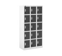 Fromm & Starck Armoire Vestiaire Métallique Casier À Casiers Métal STAR_MCAB_17 (15 Casiers, Capacité 200 kg, Verrouillable, Tôle d'Acier Laminée à Froid, 30 Clés)