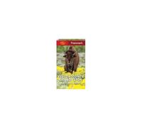 Frommer's Yellowstone And Grand Teton National Parks