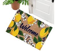Front Door Mat, Non-Slip Absorbent Entrance Rug, 23x15 inch Soft Indoor Door Mat Room Decor for Home Bathroom Bedroom Kitchen Living Room Apartment Entryway Patio Floor Mats