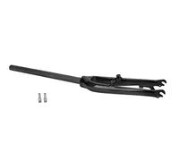 Front Suspension 20 Inch | T800 Carbon Fiber High Performance & Environmentally Resilient | Lightweight Replacement for Mountain/Road | Disc & V Brake Compatible (Bright Light)