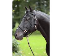 Frontal anti-mouche Kerbl Noir Full
