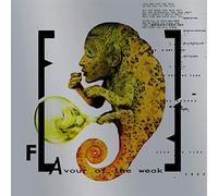 Frontline Assembly - Flavour