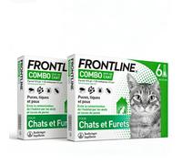 FRONTLINE Combo Chat - Anti-Puces & Tiques 2*6 Pipettes | Tue 100% des Puces en 24h & Tiques en 48h | Élimine Œufs & Larves