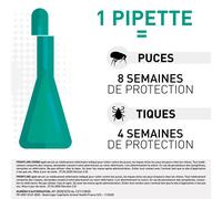 Frontline Combo Spot-On Chien 20 40 Kg 6 Pipettes