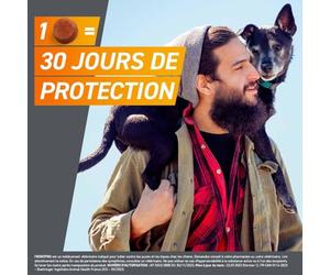 Frontline Frontpro antiparasitaire Petit Chien 2-4kg Puces et Tiques x3 comprimés