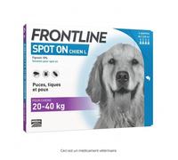 Frontline Spot-on chien L 20 à 40kg - 1 pipette