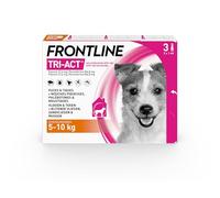 FRONTLINE Tri-Act Chien - Anti Puces, Tiques, Moustiques, Phlébotomes & Mouches - Traitement Radical En 6h - Pour Petit Chien De 5 à 10 kg - Fabriqué En France - 3 Pipettes Application Spot On