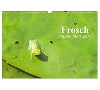 Frosch müsste man sein! (Wandkalender 2026 DIN A3 quer), CALVENDO Monatskalender: Das mehr oder weniger aufregende Leben kleiner Frösche
