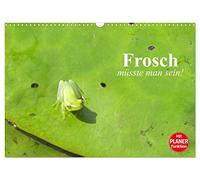 Frosch müsste man sein! (Wandkalender 2026 DIN A3 quer), CALVENDO Monatskalender: Das mehr oder weniger aufregende Leben kleiner Frösche