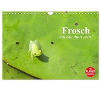 Frosch müsste man sein! (Wandkalender 2026 DIN A4 quer), CALVENDO Monatskalender: Das mehr oder weniger aufregende Leben kleiner Frösche