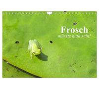 Frosch müsste man sein! (Wandkalender 2026 DIN A4 quer), CALVENDO Monatskalender: Das mehr oder weniger aufregende Leben kleiner Frösche