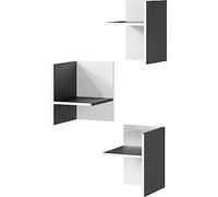 Froschkönig24 Germania 4284-569 Lot de 3 Inserts de Rangement en Graphite/Blanc pour compléter l'étagère 4258, 27 x 37 x 35 cm (l x h x p)