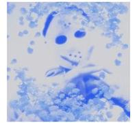 Frost God Vinyle Transparent
